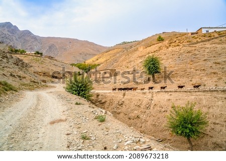 Uzbekistan, landscape and villages while hiking in the Nuratau mountains Royalty-Free Stock Photo #2089673218