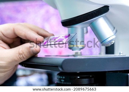 Laboratory assistant works with microscope at the modern laboratory. Royalty-Free Stock Photo #2089675663