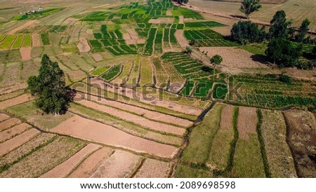 Scenic aerial shot of Organic Farm landscape in Nigeria 