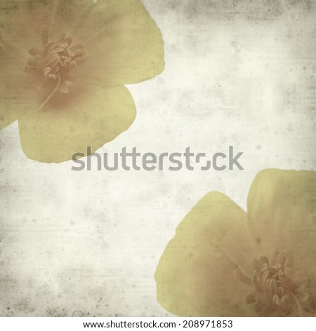 textured old paper background with California poppy