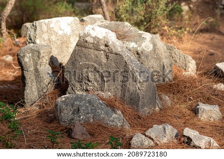 ancient stone with carved pattern among the forest at the site of the abandoned antique city of Phaselis, Turkey

