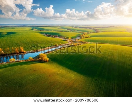 Bird's eye view of abstraction agricultural area and green wavy fields in sunny day. Aerial photography, top view drone shot. Ukrainian agrarian region, Europe. Picturesque wallpaper. Beauty of earth.