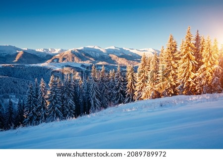 Fabulous image of snow-capped mountains after a heavy snowfall on frosty day. Carpathian mountains, Ukraine, Europe. Photo of winter vacation. Happy New Year wallpaper. Discover the beauty of earth.