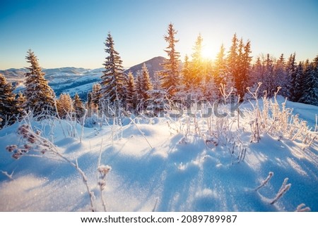 Breathtaking image of mountains after a heavy snowfall on frosty day. Carpathian mountains, Ukraine, Europe. Exotic wallpapers. Perfect photo of Happy New Year concept. Discover the beauty of earth.