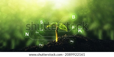 Microelements for plants nutrition.Factors necessary for the process of plant growth and development.Young beans plant on sunny background with digital mineral nutrients icon. Royalty-Free Stock Photo #2089922161