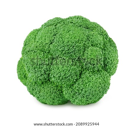 Fresh green broccoli isolated on a white background. Clip art image for package design.
