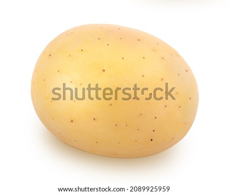 Fresh whole potato isolated on a white background. Clip art image for package design.