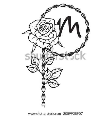 Illustration of dna spiral with roses. Double roses dna helix. Genetic code with flower. Biology. Science elements. Printing for clothes.