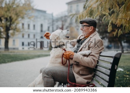 Happy senior man sitting on bench and resting during dog walk outdoors in city. Royalty-Free Stock Photo #2089943386