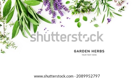 Rosemary, mint, lavender, marjoram, sage, lemon balm and thyme layout. Creative frame with fresh herbs on white background. Top view, flat lay. Healthy eating and alternative medicine concept Royalty-Free Stock Photo #2089952797