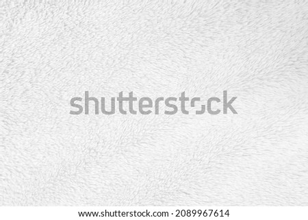 White clean wool texture background. light natural sheep wool. white seamless cotton. texture of fluffy fur for designers. close-up fragment white wool carpet.	 Royalty-Free Stock Photo #2089967614