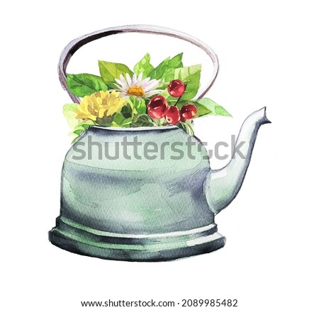 Beautiful watercolor hand painted teapot with flowers isolated ob a white background. Flowers and berries spring bouquet in a pot illustration for print, poster,card,invitation,branding.