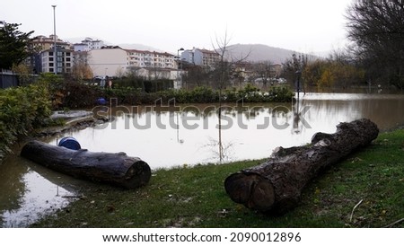                 flooding in the city, water flooded the park. logs of trees on the background of the house.               