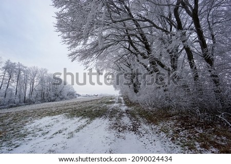 Dramatic winter landscape in lower austria. Austria. Outdoor and nature concept.
