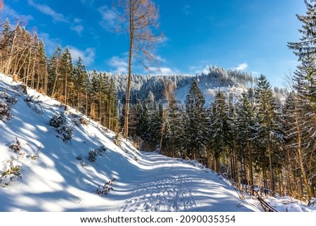 Beautiful winter landscape on the heights of the Thuringian Forest near Oberschönau - Thuringia