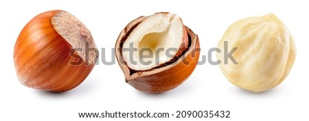 Hazelnut isolated. Hazel set on white background. Hazelnut in broken shell, white nut, whole nut. Collection. Full depth of field. Royalty-Free Stock Photo #2090035432