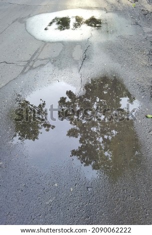 The reflection of the trees along the street on the water puddle