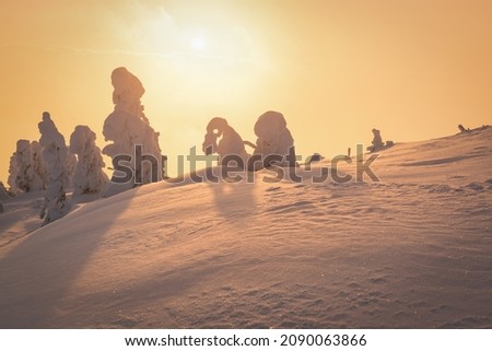Frosty winter. Fantastic snow figures on trees. Photo of greeting cards. Christmas background. Carpathians mountain, Ukraine, Europe