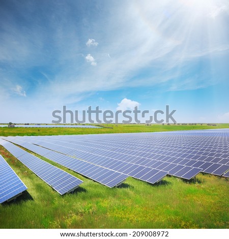 Solar panels with green field