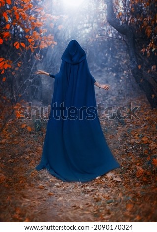 Silhouette fantasy woman in medieval cloak, cape, hood on head. Lady queen walks along path in forest. Blue long vintage clothing. Autumn mystery nature trees orange leaves magic fog. Back rear view. Royalty-Free Stock Photo #2090170324
