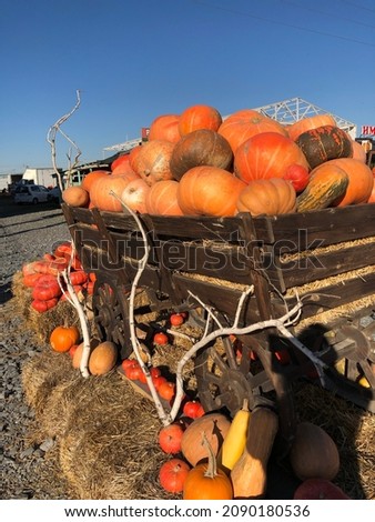 photo of orange pumpkins in a cart during sunset