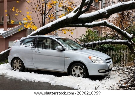 Tall Tree fell on the car and crushed it due to heavy snow storm  Royalty-Free Stock Photo #2090210959