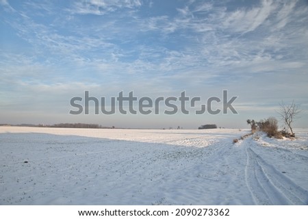 Winter trip, fields, snow, landscape.
