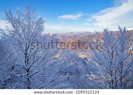 Beautiful view in winter mountains. Hiking in the snowy forest.