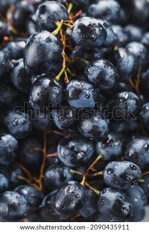 Juicy black grapes close-up as texture. Full screen