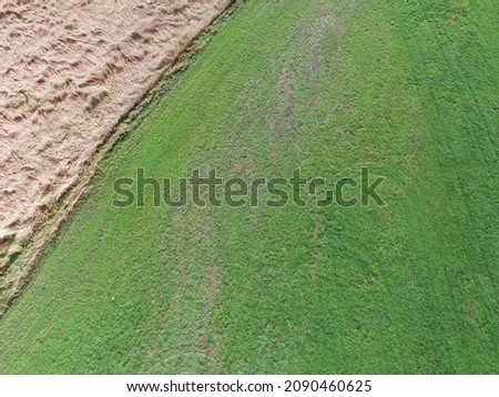 A farm field and road near some fallow areas