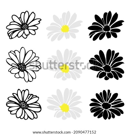 Summer flower set, camomile daisy head for design, silhouette outline and coloring clip art.Vector ilustration isolate on whu=ite background            