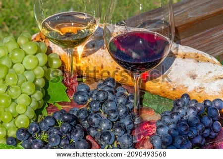 Symbol image of the grape harvest: Ripe grapes decorated with wine glasses on a wooden table