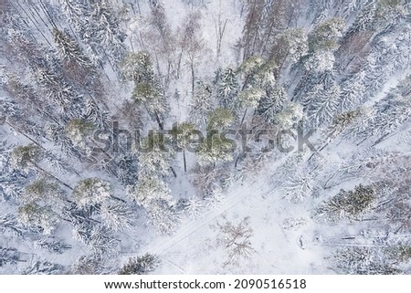 Aerial view from drone of frozen snowy peaks of endless coniferous forest trees in  National park environment. Magical snow covered tree. Photo greeting card. Winter landscape.