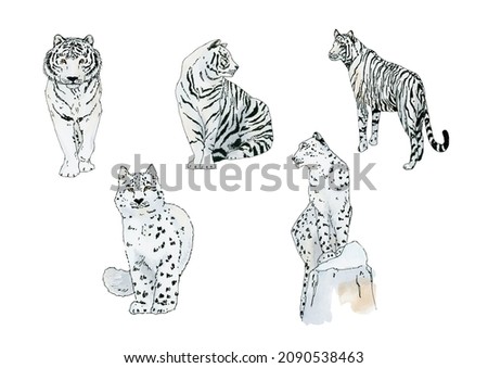 white tiger, snow leopard print watercolor clipart, leopard illustration clip art, tiger printable sticker digital download
