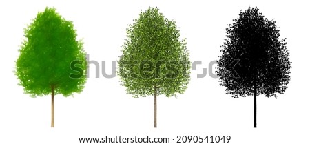 Set or collection of Black Poplar trees, painted, natural and as a black silhouette on white background. Concept or conceptual 3d illustration for nature, ecology and conservation and strength