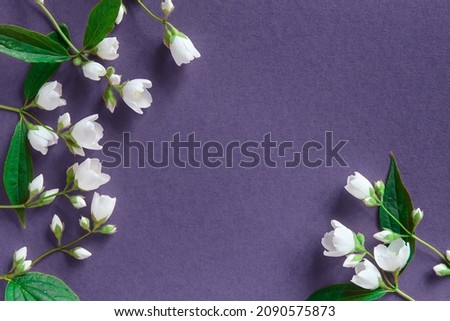 Beautiful white jasmine flowers on a solid background. Space for lettering for wedding, birthday, party or other celebration.