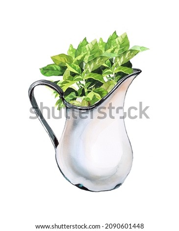 Watercolor hand painted kitchen plant. Illustration of totted spice plant. Organic herb clipart. Basil Illustration.