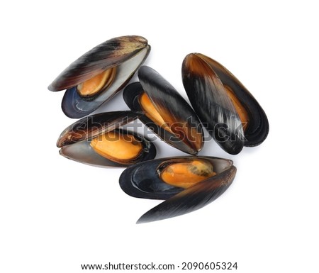 Delicious cooked mussels in shells on white background, top view Royalty-Free Stock Photo #2090605324