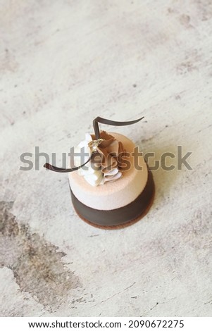 Contemporary Coffee Chocolate Mini Mousse Cakes, dipped in chocolate, garnished with whipped white and milk chocolate, and chocolate spirals, on light background.