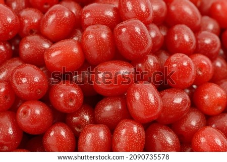 Close-up of stacked red oleaster(Elaeagnus typica) fruits, South Korea
