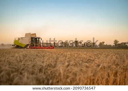 Harvester mows wheat field at sunset