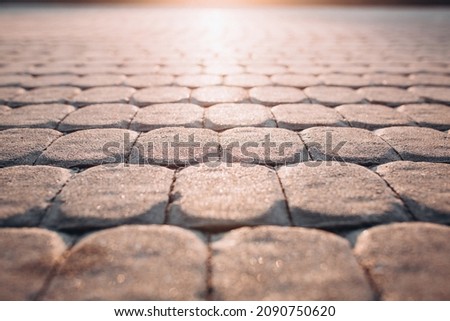 paving stones in the park. ideal road for walking. sun glare.