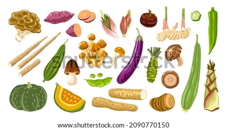 Asian vegetables set. Exotic japanese ingredients for food. Mushrooms, roots, bamboo shoots, sweet potato and other. Oriental cuisine. Vector hand drawn flat illustration. Royalty-Free Stock Photo #2090770150