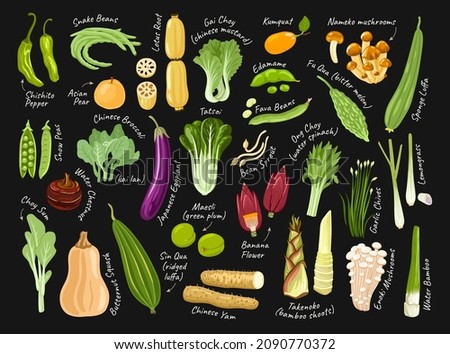 Set of asian exotic vegetables on black background with white chalk inscriptions. Korean, japanese, chinese ingredients and food. Vector hand drawn flat illustrations for restaurant menu, recipes. Royalty-Free Stock Photo #2090770372