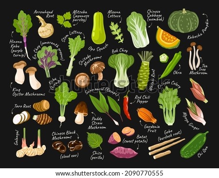 Set of asian exotic vegetables on black background with white chalk inscriptions. Korean, japanese, chinese ingredients and food. Vector hand drawn flat illustrations for restaurant menu, recipes. Royalty-Free Stock Photo #2090770555