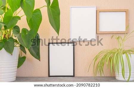 Empty photo frames hung on an indoor wall.