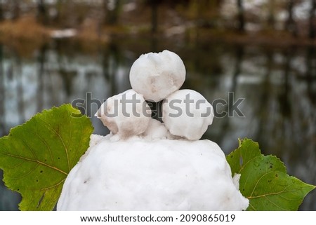 Head and ears made of leaves of a snowman on the lake in a city park on a cloudy winter day