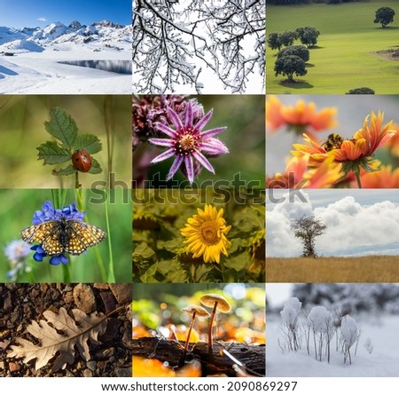 different images of nature for calendar. Photo collage for calendar. Pictures for yearly calendar. colored pics wall calendar photo