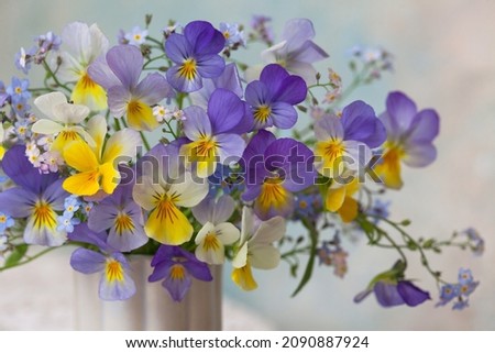 Bouquet of pansy and forget-me-not flowers closeup on a colorful background, fragment, blur, selective focus. Floral card.