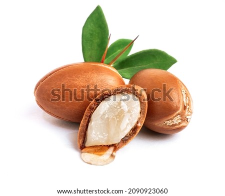  Three argan nuts with green leaves on an isolated white background. Chopped argan nut with a drop of oil. Whole and half Moroccan Argania Spinosa seeds for the production of oil Royalty-Free Stock Photo #2090923060
